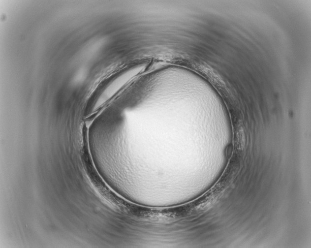 X0000087690638200705251709