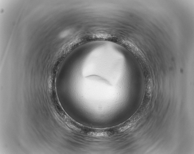 X0000087690639200705251709