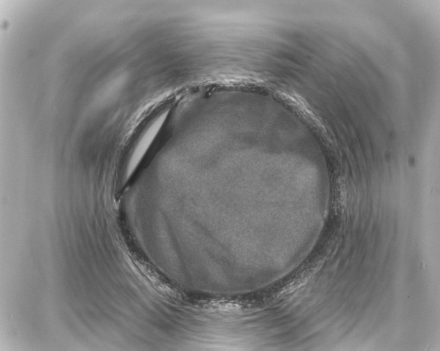 X0000087690640200705251709