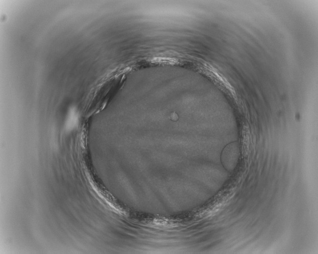 X0000087690641200705251709