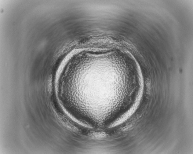 X0000087690642200705251709