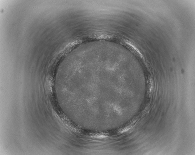 X0000087690643200705251709