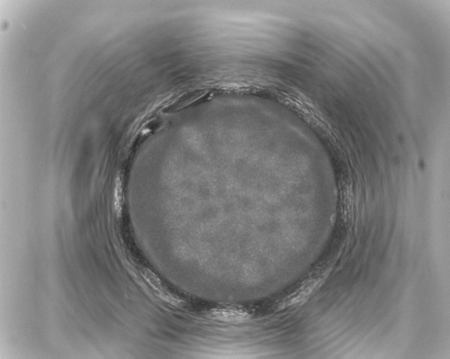 X0000087690644200705251710