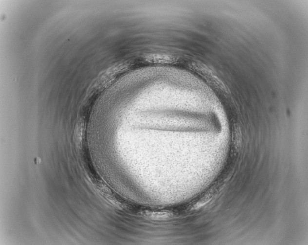 X0000087690645200705251710