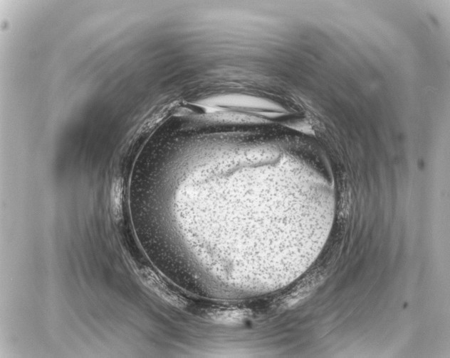 X0000087690646200705251710