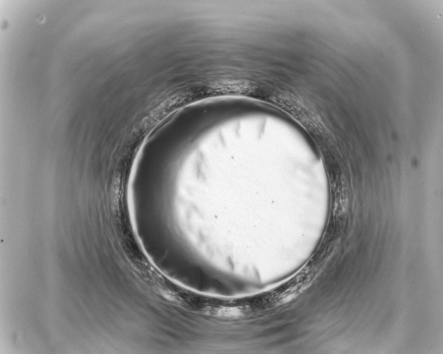 X0000087690647200705251710