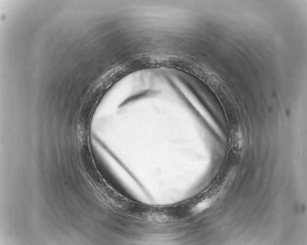 X0000087690648200705251710