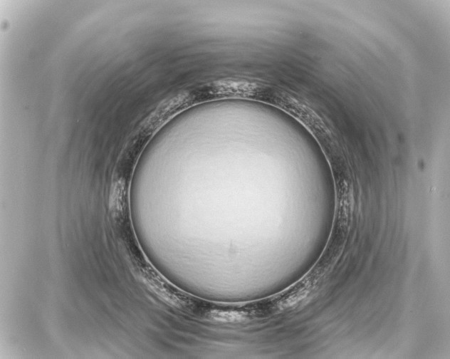 X0000087690649200705251710