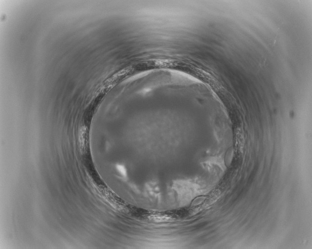 X0000087690650200705251710