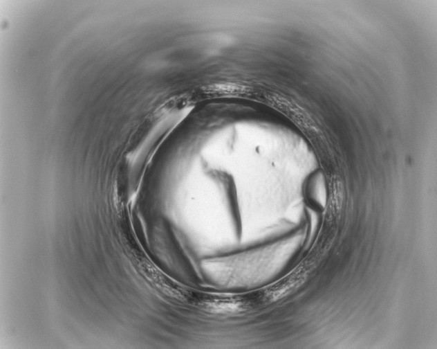 X0000087690651200705251710