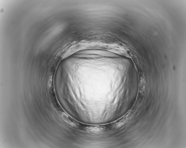 X0000087690652200705251710