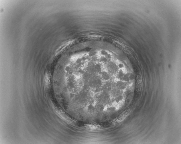 X0000087690654200705251710