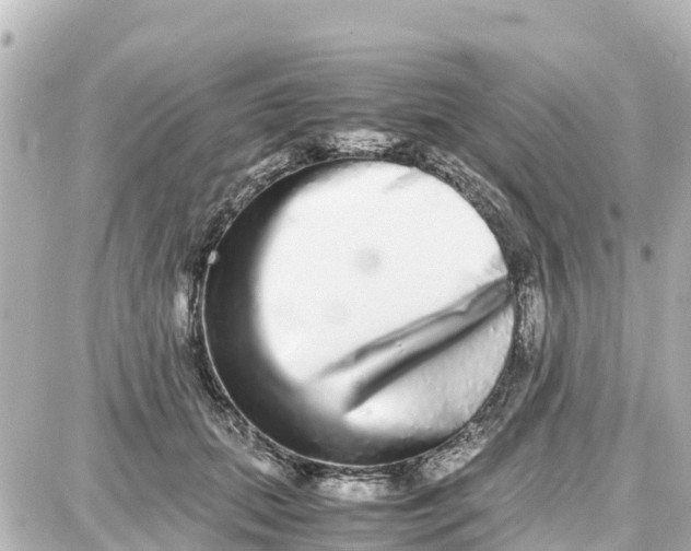 X0000087690655200705251710