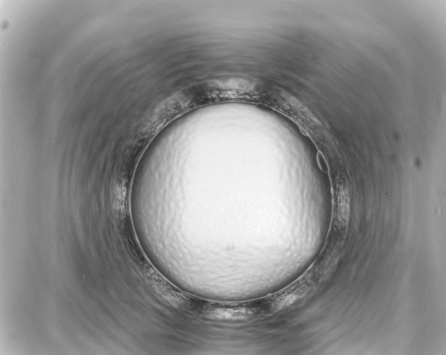 X0000087690657200705251710