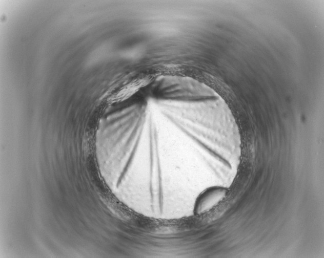 X0000087690658200705251710