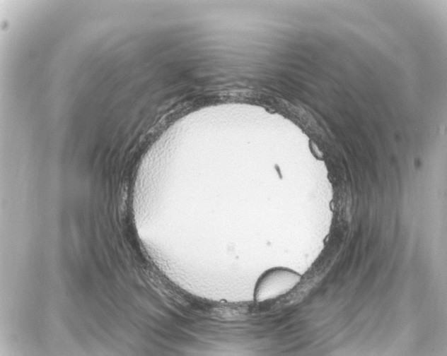 X0000087690660200705251710