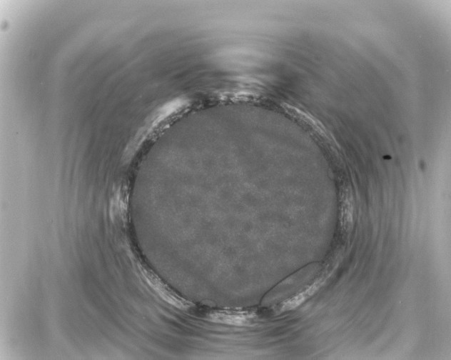 X0000087690661200705251710