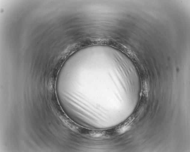 X0000087690662200705251710