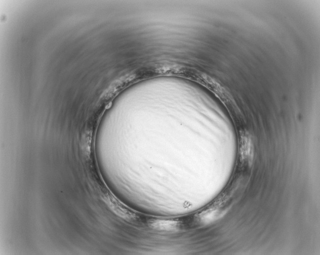 X0000087690664200705251710