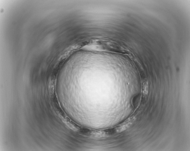 X0000087690666200705251710