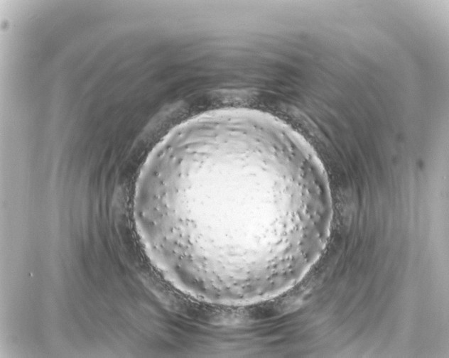 X0000087690667200705251710