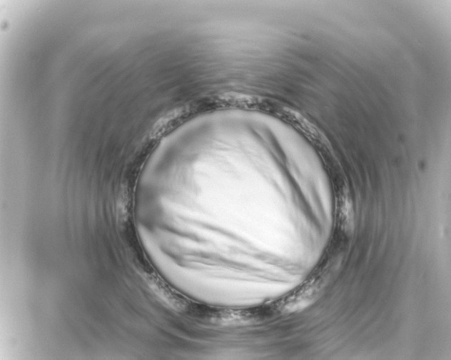 X0000087690668200705251710