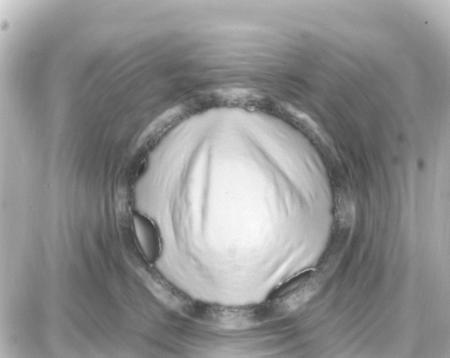 X0000087690670200705251710