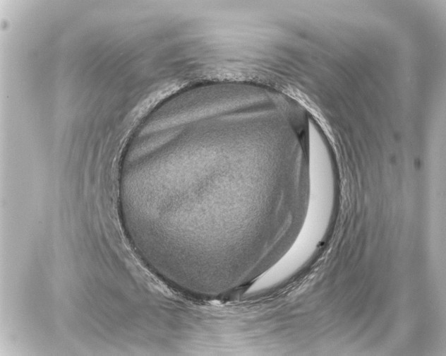 X0000087690673200705251709