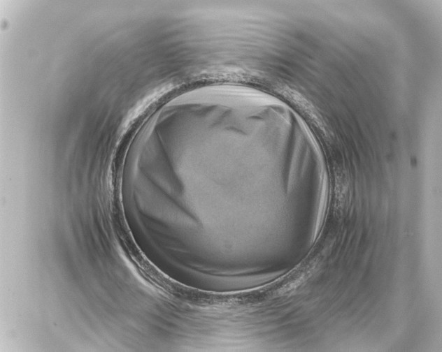 X0000087690674200705251709