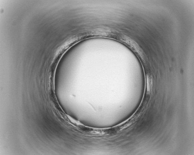 X0000087690675200705251709