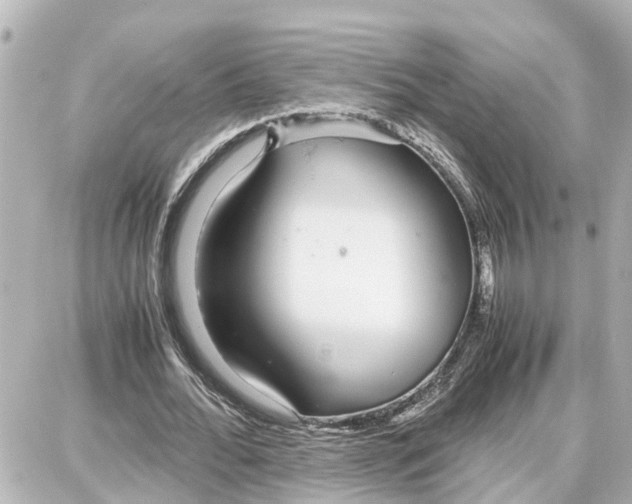 X0000087690676200705251709