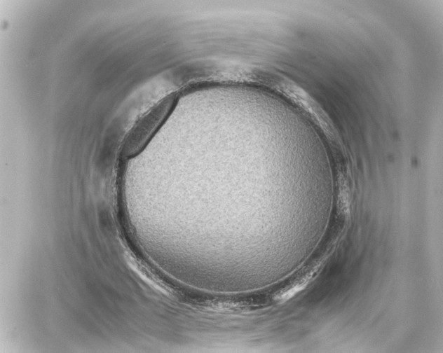 X0000087690677200705251709