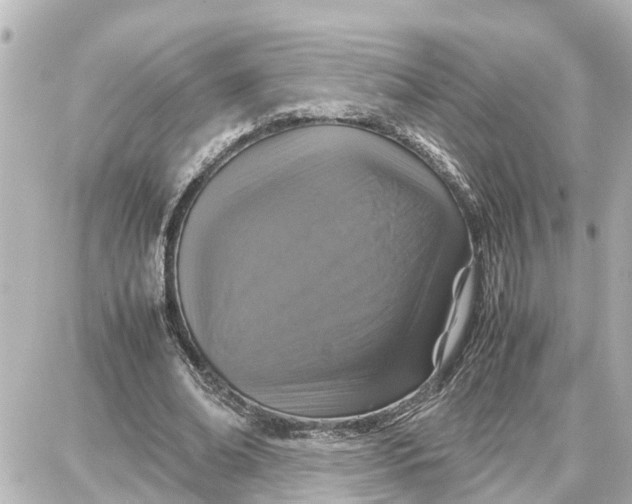 X0000087690678200705251709