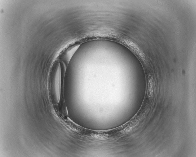 X0000087690680200705251709