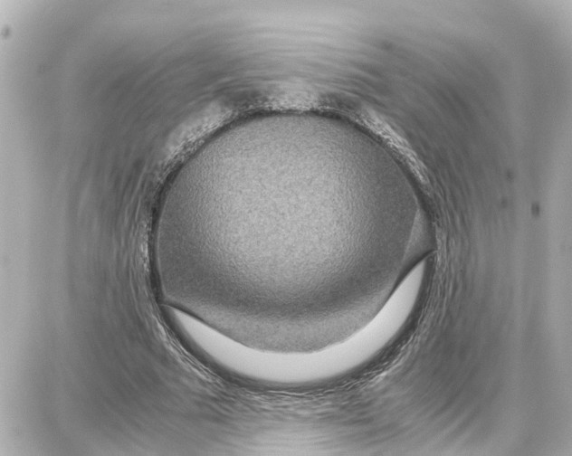 X0000087690681200705251709