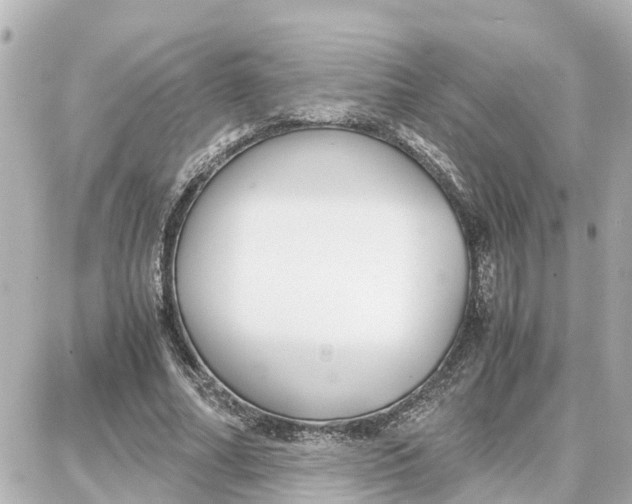 X0000087690682200705251709