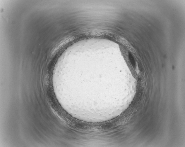 X0000087690683200705251709