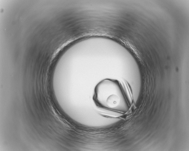 X0000087690684200705251709