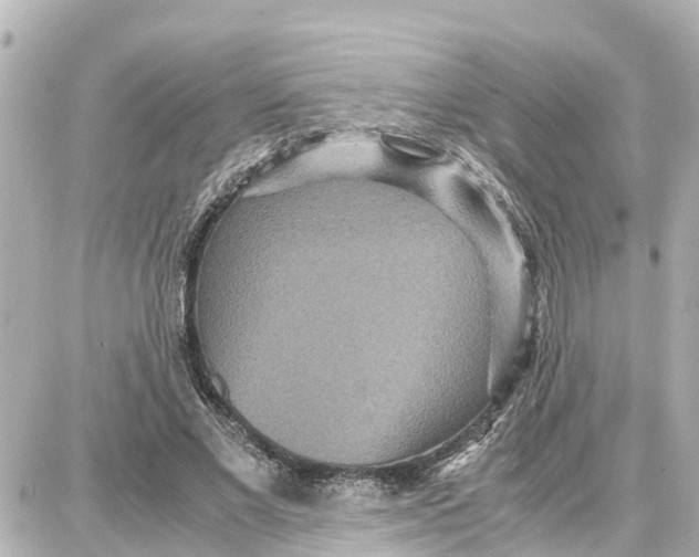 X0000087690685200705251709