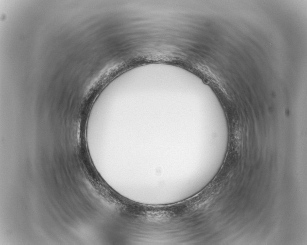 X0000087690686200705251709