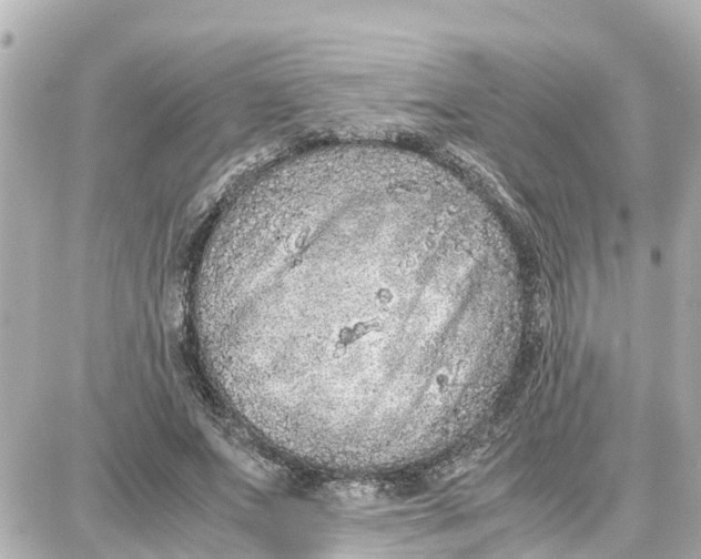 X0000087690687200705251709