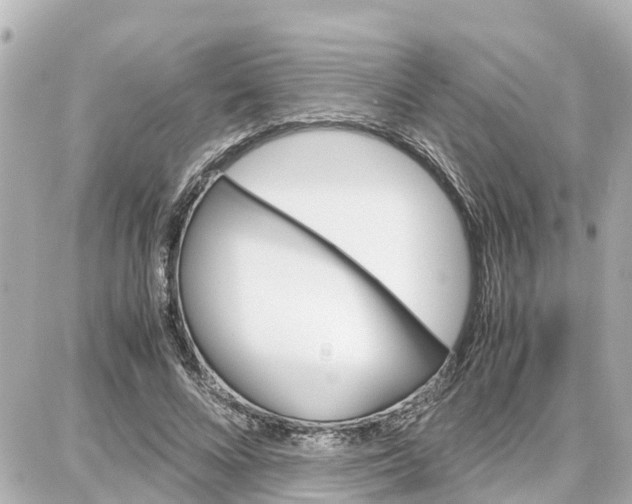 X0000087690688200705251709