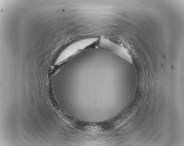 X0000087690689200705251709