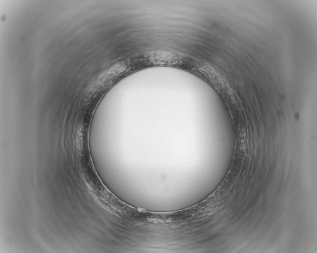 X0000087690690200705251709