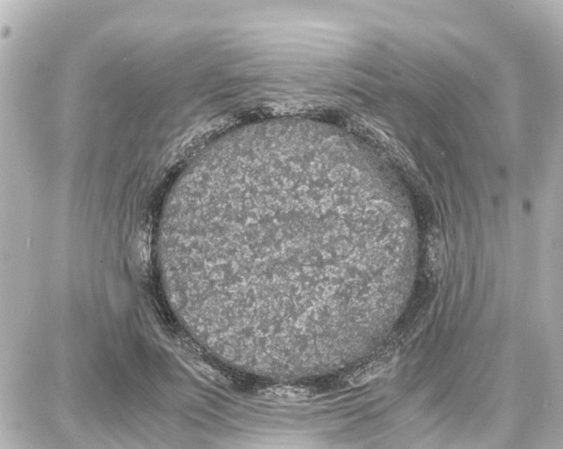 X0000087690691200705251709