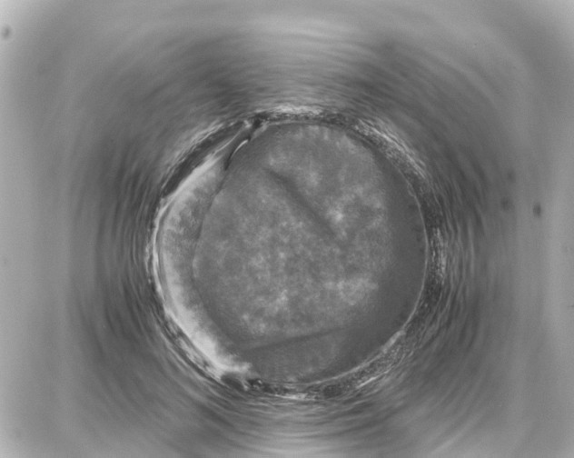 X0000087690692200705251709