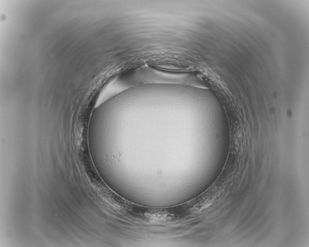 X0000087690693200705251709