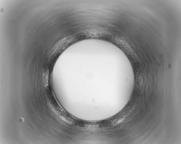 X0000087690694200705251709