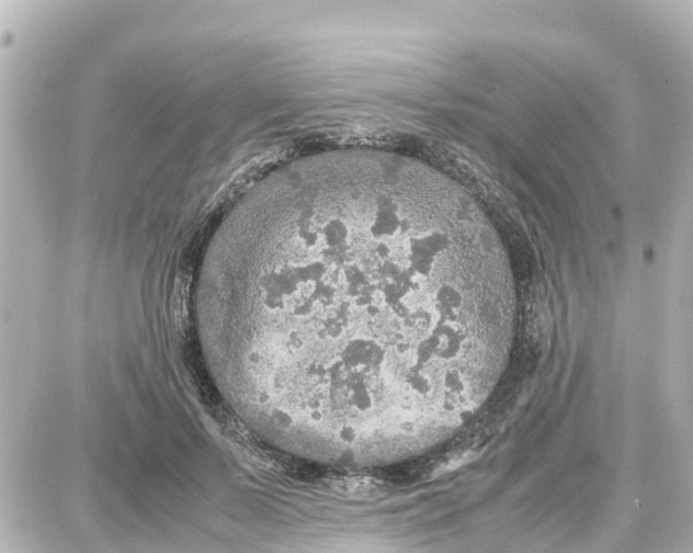 X0000087690695200705251709