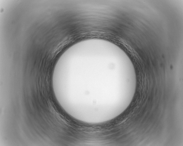 X0000087690696200705251709